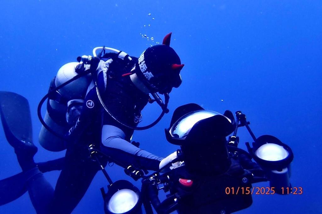 Aojing Diving Resort澳鲸潜水温泉店 *